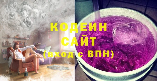 индика Абинск