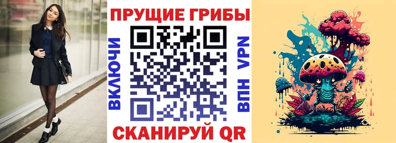 Псилоцибиновые грибы Psilocybine cubensis  Яранск 